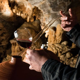 Vinospéléologie