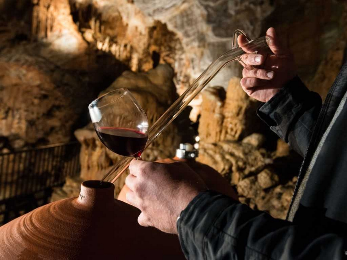 Vinospéléologie