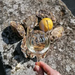 Vins et coquillages au Château de Calavon