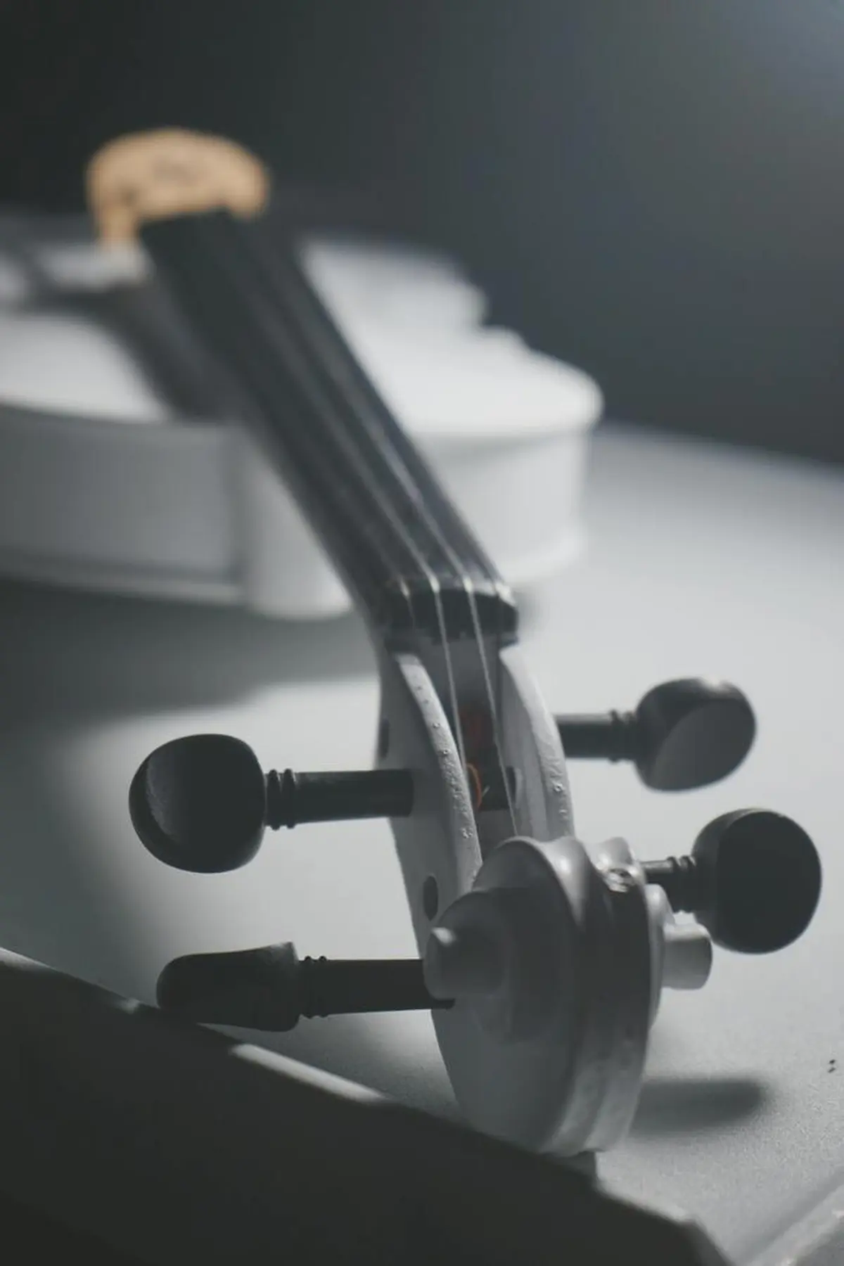 Violon et  l’alto