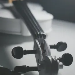 Violon et  l’alto