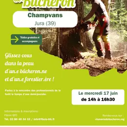 Vis ma vie de bûcheron - 17/06/2026