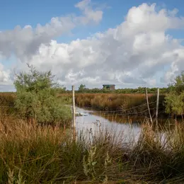Vis ma vie de gestionnaire de la Réserve ornithologique du Teich
