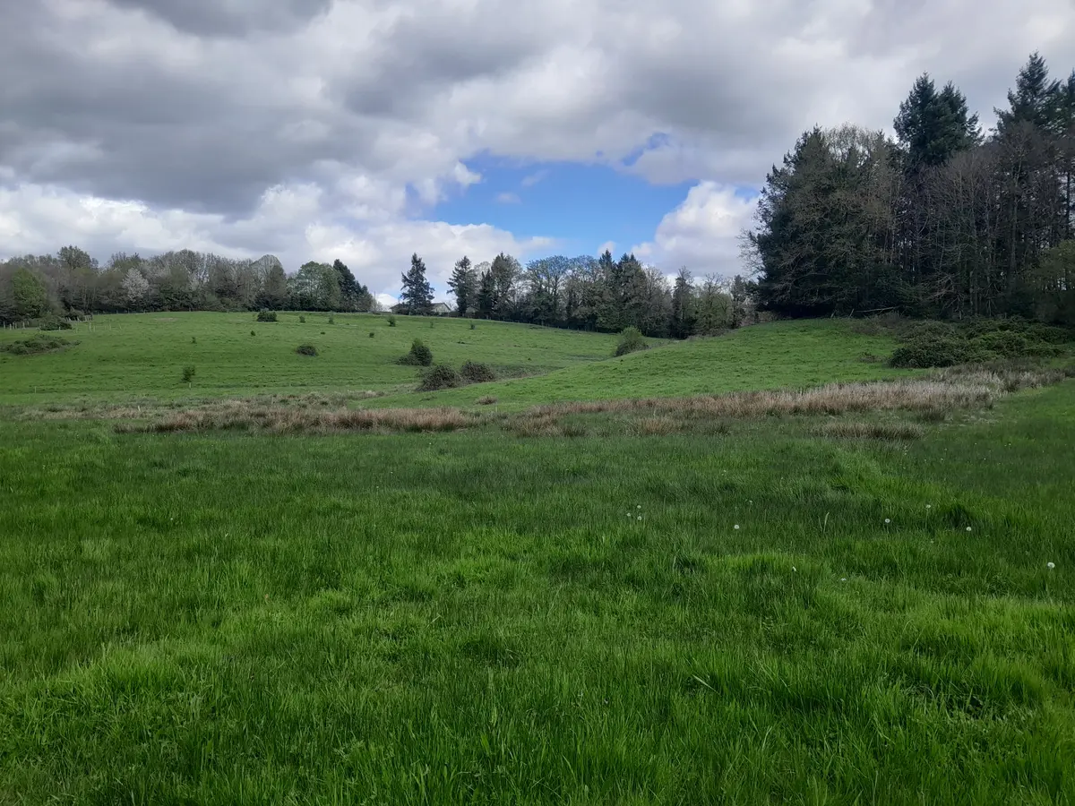 Vis ma vie de spécialiste des zones humides