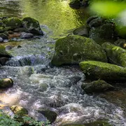 Vis ma vie de technicien rivière