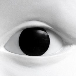 Visionnaires. Carte blanche à Prune Nourry