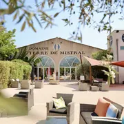 Visit of the vineyards of Terre de Mistral followed by a tasting session