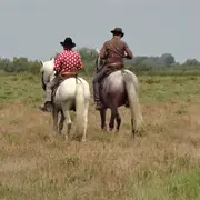 Visite à cheval à la manade Jacques bon