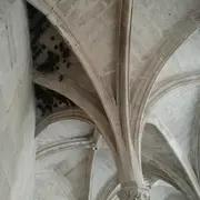 Visite à la découverte des chauves-souris de la chartreuse Saint-Sauveur