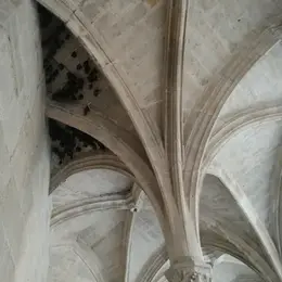 Visite à la découverte des chauves-souris de la chartreuse Saint-Sauveur
