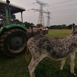 Visite a la ferme