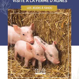 Visite à la ferme d'Agnès