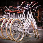 Visite à vélo : Les jardins historiques