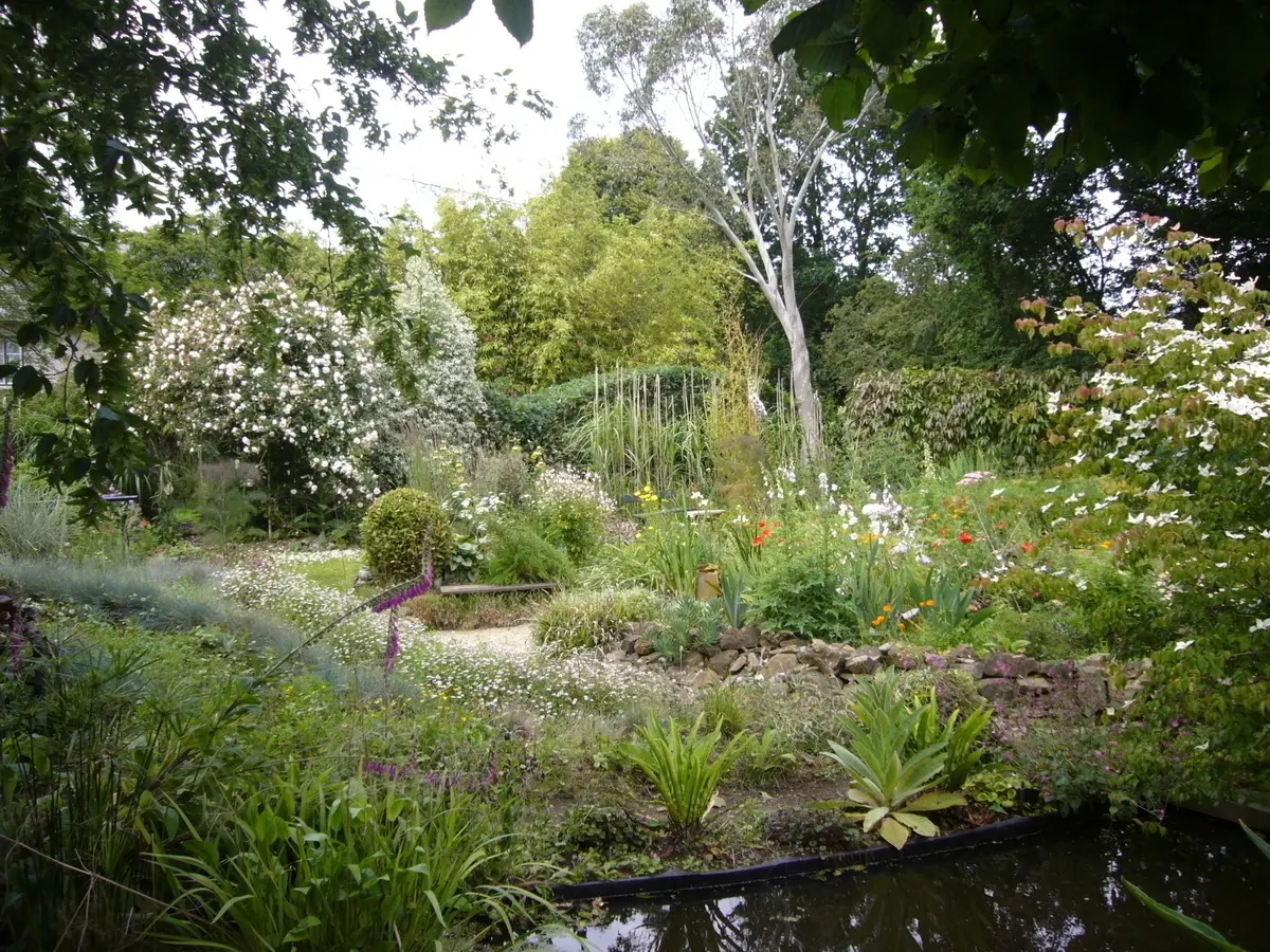 Visite accompagnée du jardin du Revers