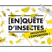 Visite animée de l'exposition En[quête] d’insectes