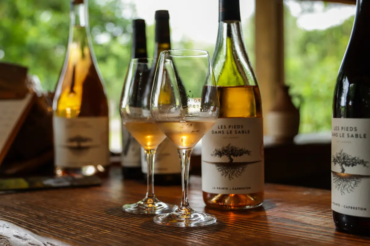 Visite apéritive au Domaine de La Pointe