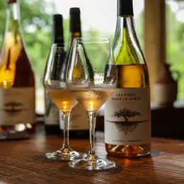 Visite apéritive au Domaine de La Pointe