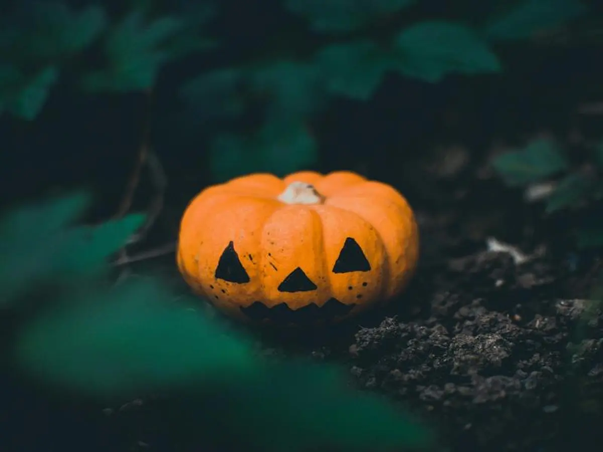 Visite-atelier 'Danse macabre'