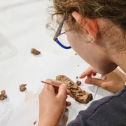 Visite-Atelier : Osiris Végétant  au musée Champollion à Figeac