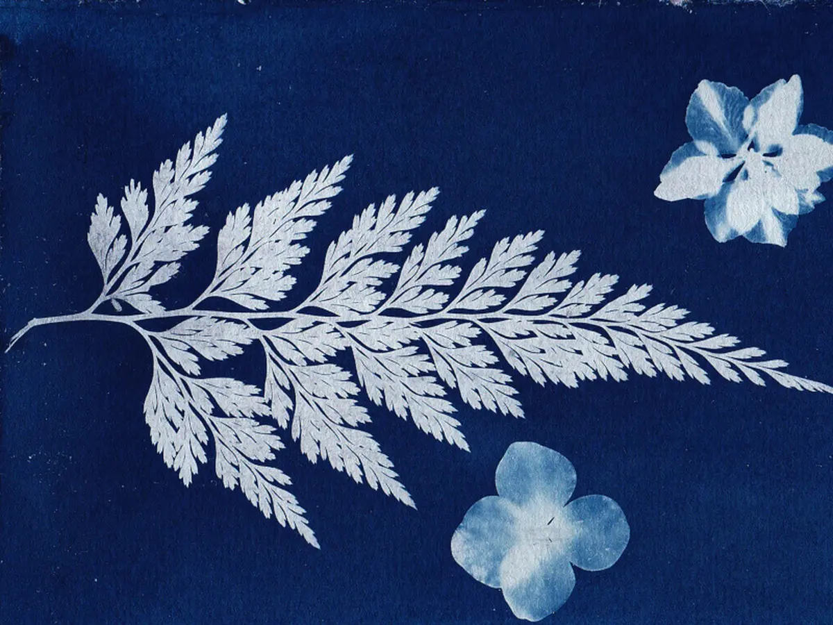 Visite atelier : Révèle la nature !