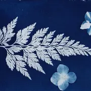 Visite atelier : Révèle la nature !