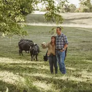 Visite: Au coeur du troupeau
