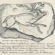 Visite au musée : les salles de la préhistoire