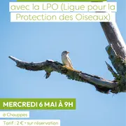 Visite avec la LPO