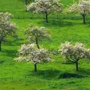 Visite Bio et Local au Manoir d'Apreval