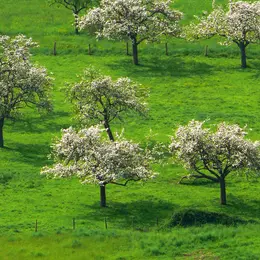 Visite Bio et Local au Manoir d'Apreval