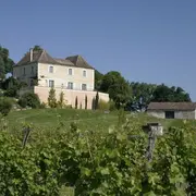Visite bout de rang et dégustation | Domaine de l'Ancienne Cure