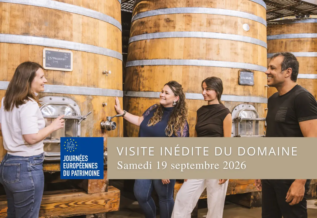 Visite Château de Lascaux