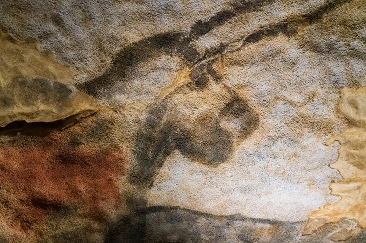 Visite Chronique d'une découverte