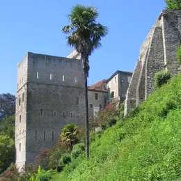 Visite commentée : A la découverte de la cité médiévale et billet d'entrée à la Tour Monréal