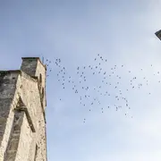 Visite commentée de Château-Chervix