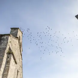 Visite commentée de Château-Chervix