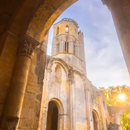 Visite commentée de l’abbaye : Le bestiaire médiéval