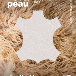 Visite commentée de l'exposition L'Aiguille et la peau à Argentomagus »