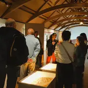 Visite commentée de l'exposition Le monde fascinant des fossiles (spéciale familles)