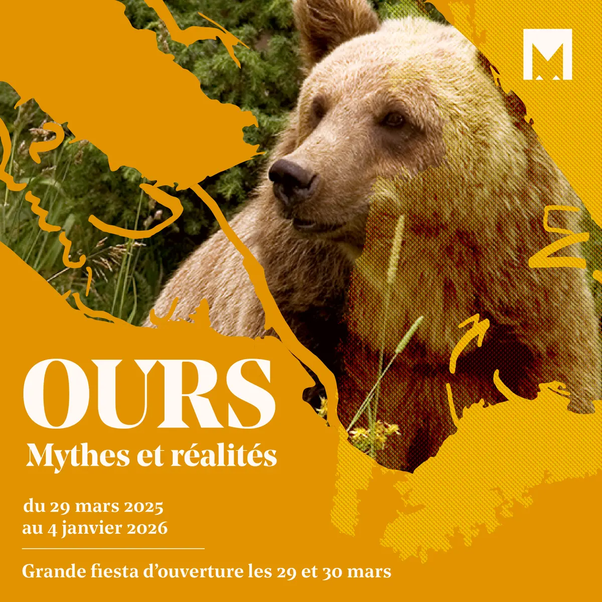 Visite Commentée De L'Exposition Temporaire : Ours,mythes Et Réalités