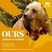 Visite Commentée De L'Exposition Temporaire : Ours,mythes Et Réalités