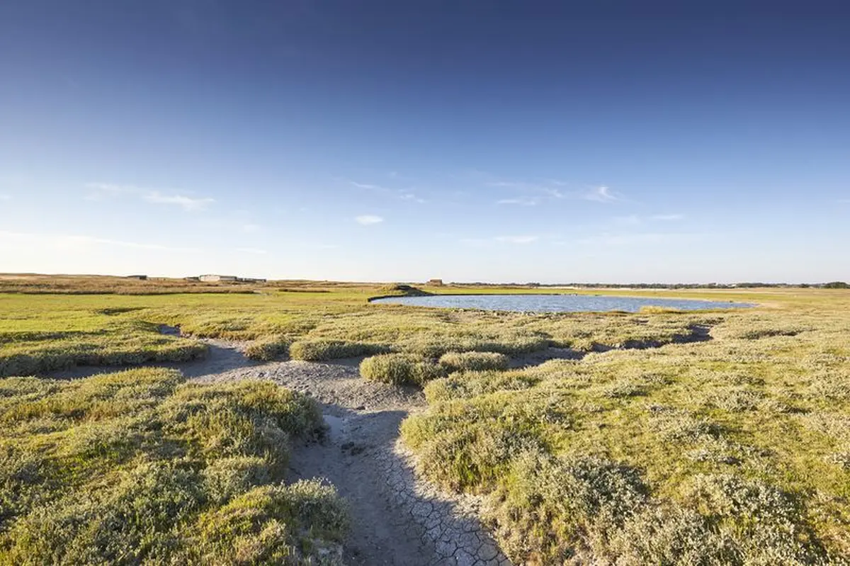 Visite commentée de l'Office de Tourisme : Balade dans le Havre de la Vanlée