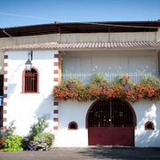 Visite commentée de la Monumental des Pins