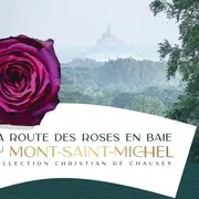 Visite commentée de la roseraie du jardin Bergevin