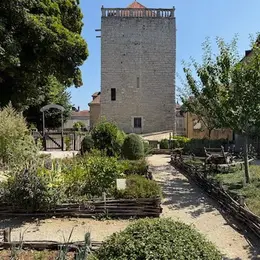 Visite commentée du donjon de Chaumont