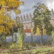 Visite commentée du jardin botanique de la faculté de pharmacie