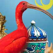 Visite commentée du Musée des Beaux-Arts et d'Histoire Naturelle