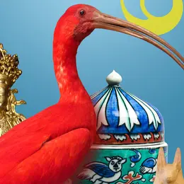 Visite commentée du Musée des Beaux-Arts et d'Histoire Naturelle