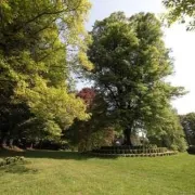 Visite commentée du Parc Arboretum Château de Neuvic d\'Ussel
