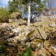 Visite commentée du sentier des meulières